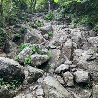 画像2515