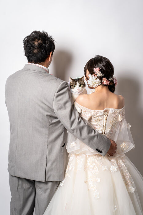 画像2353