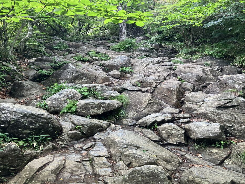 画像2515